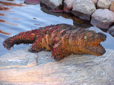 Seeya later, alligator.