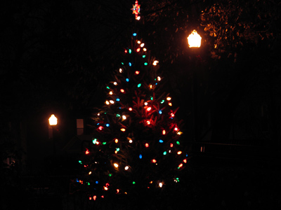 How lovely are thy branches.