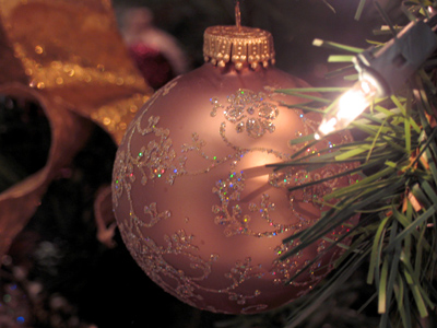 Other people decorate, I take the pictures.