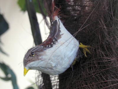 On the first day of Christmas, my true love gave to me.