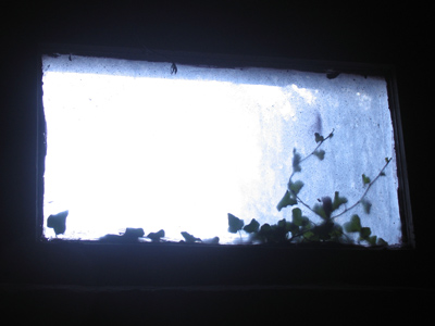 Scenes from a very cold day.