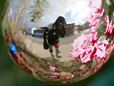 `There`s that guy again, takin` pitchers of the Chrismus tree.  Lock the doors!`