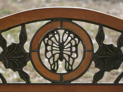 Year-round butterfly.