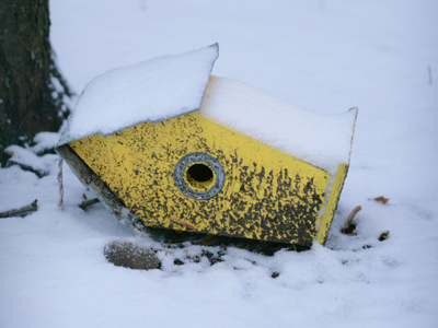 The housing market continues to fall.