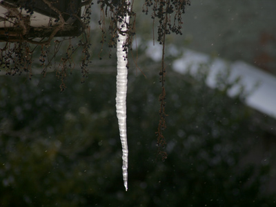 This HAS to mean it`s getting warmer.