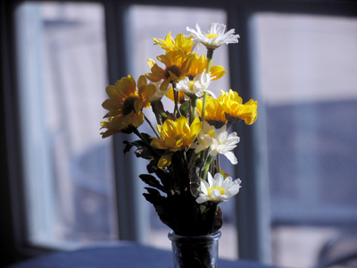 Indoors it was springtime.