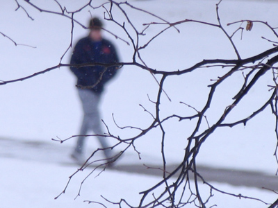 What does it do to us, Wally, living in an environment where something as massive as the seasons or winter or cold, don`t in any way affect us?  I think that means that instead of living under the sun and the moon and the sky and the stars, we`re living in a fantasy world of our own making. MY DINNER WITH ANDRE