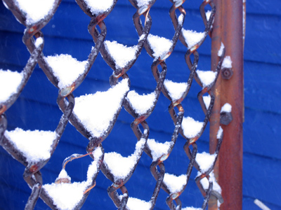 Snowflakes are very gregarious.