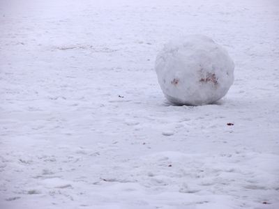 Astronomers believe that comets are a lot like a dirty snowball.
