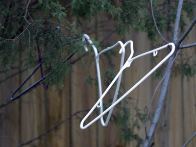 One of the mysteries of nature.