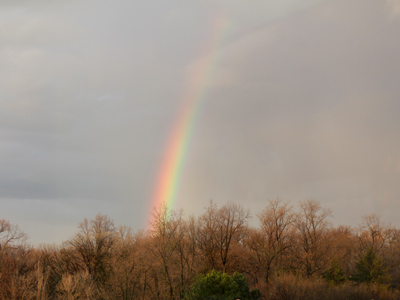 As winter`s gray gives way to green . . . 
