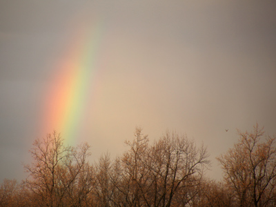  . . . how can I keep from singing?