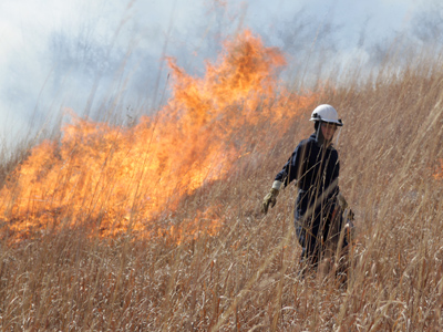 Don`t look back -- something might be gaining on you.