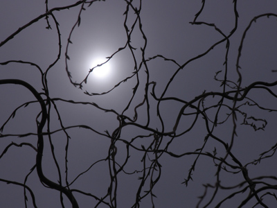 For the last time -- never point your camera at the sun!