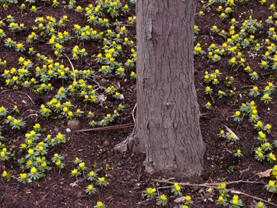 One week until spring!