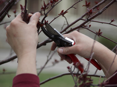 Yes, I know it hurts, but it`s for your own good.