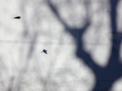 Weird lighting on wall, part 3.