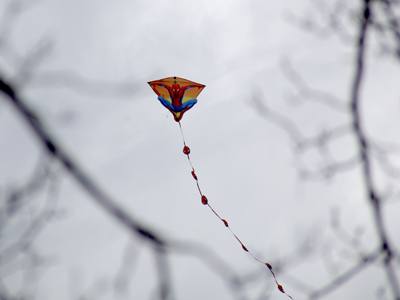 Watch out for the tree, Spiderman.