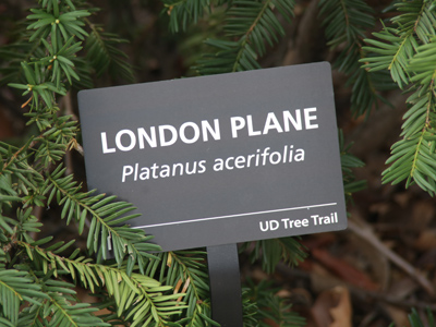 Wasn`t that a Paul McCartney song?