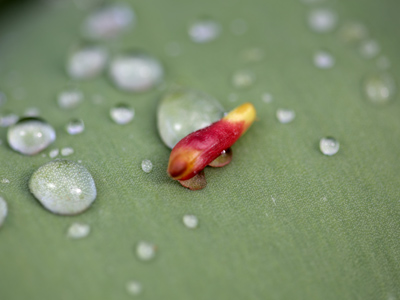 There were raindrops all over me and my camera too.