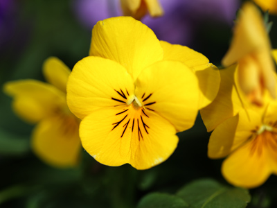 One moment the sun was out . . . 