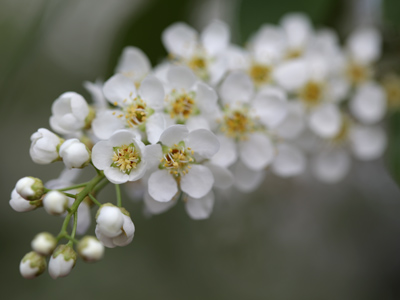  . . . and the next moment it was cloudy.