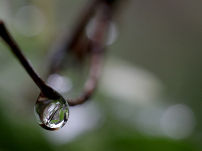 It was a drippy morning.