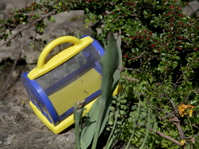 A hint of why there are no more frogs in this park`s pond.