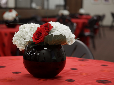 Believe it or not, this is the library.