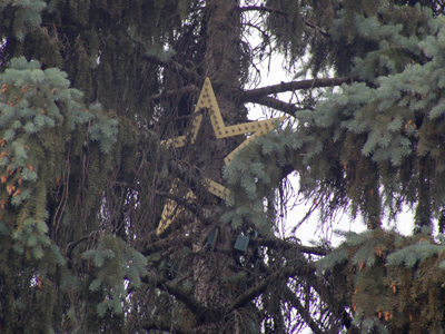 How many years has THAT been there?