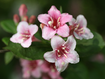 This park is currently running a photography contest, but I suppose I can`t enter since I`m one of the judges.