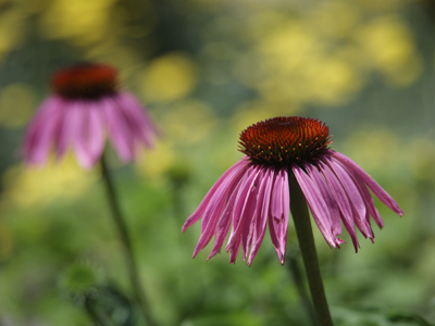 I`ve done this shot many times before, but it still holds up.