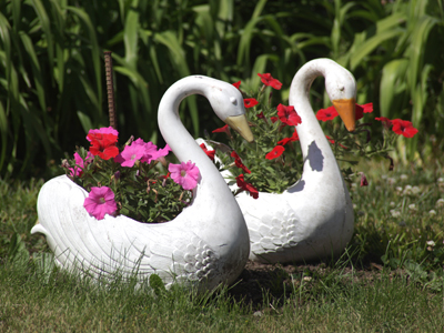 Homage to William Eggleston.  [Is it possible to pay homage to a photographer I don`t actually like?]