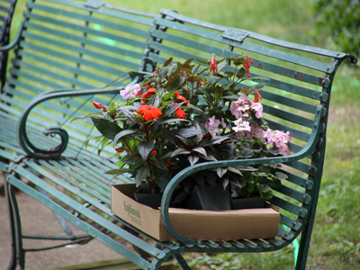 Eight more days of spring -- enjoy them!