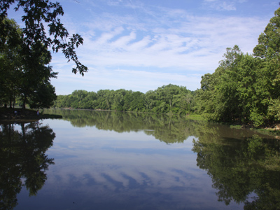 Today is the summer solstice:  the longest day of the year.