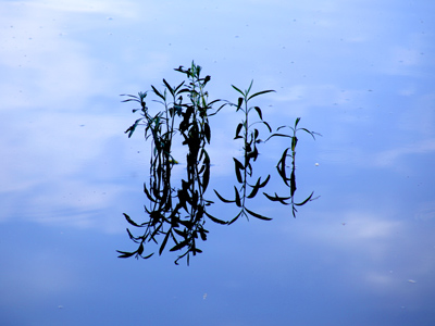 A picture of infinity.