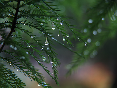 And then the wind blew and I got wet.