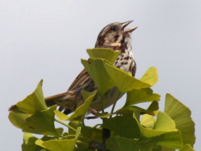 `I feel pretty, oh so pretty!`