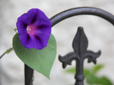 It was a glorious morning.