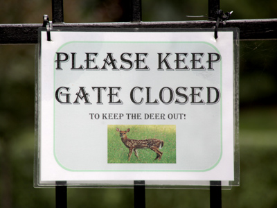 I prefer to think we can ALL share the same park.