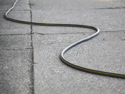 Fortunately, I heard it rattle before I got too close.