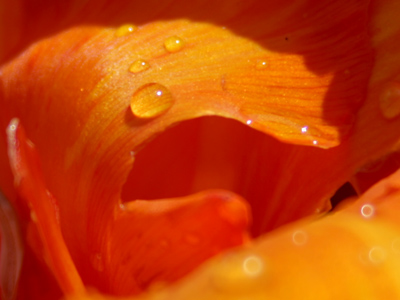 If they predict rain EVERY day, then when it finally rains they look smart.