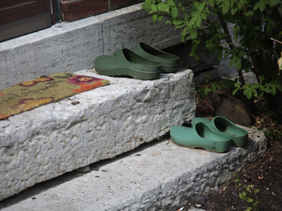 Patiently awaiting their owners` return.