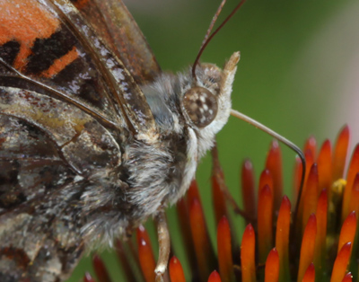 There we go, that`s more like it.