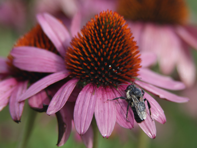 Just trying to dry off.