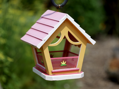 It was rainy in the morning, but fortunately the sun was shining by the time the students went outside to shoot.