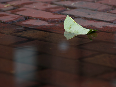 Life and death on the streets of the Oregon District.