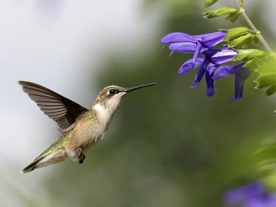 Ah, the things you can perceive at 1/8000th of a second.