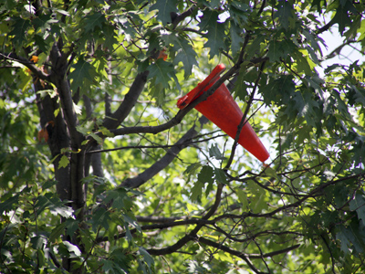 The students have returned.