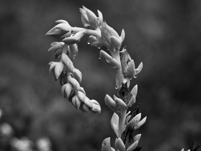 Did you have a question?